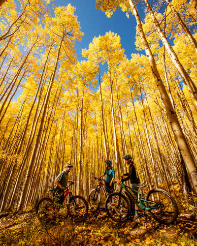 CO Fall